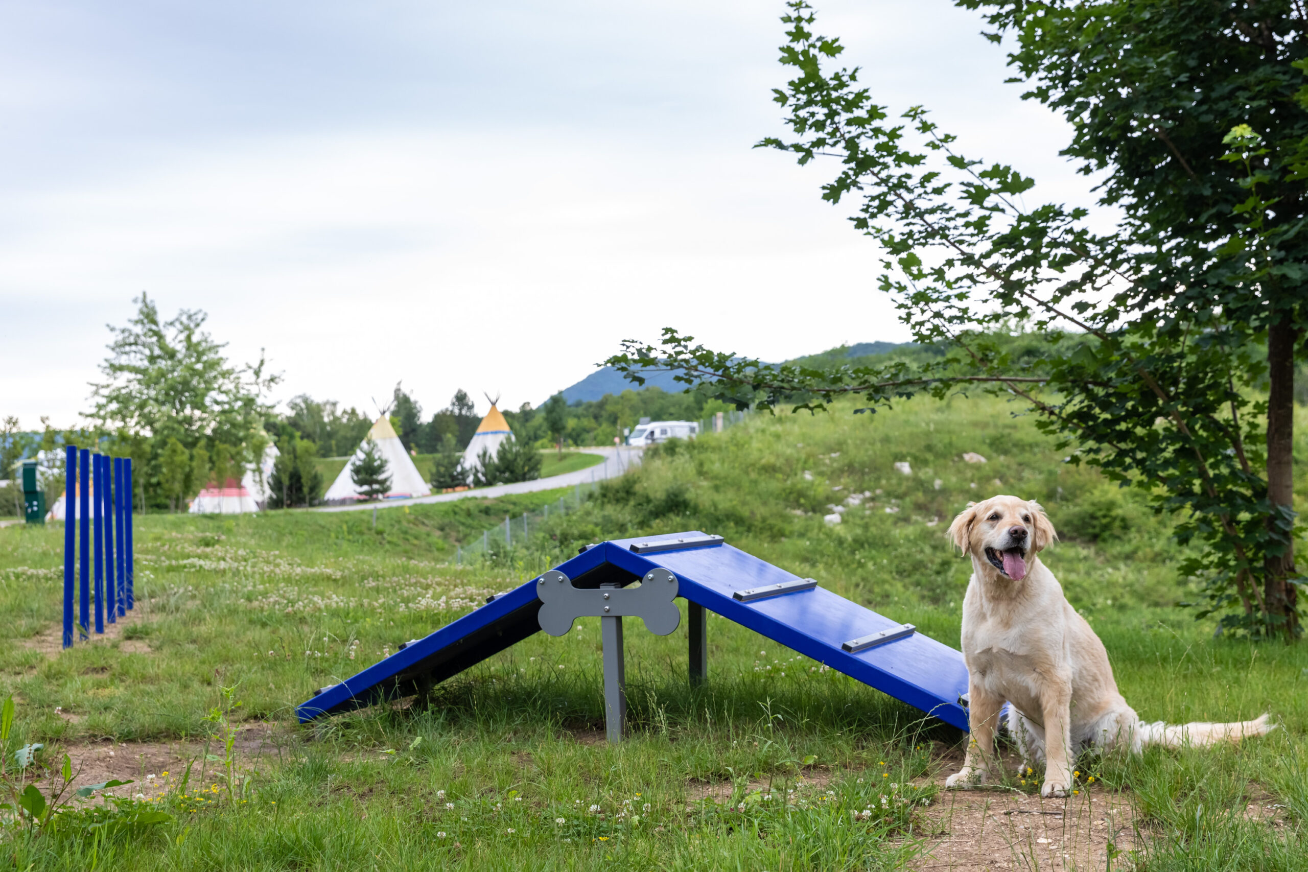A dog relaxing near a dog park at Plitvice Holiday Resort