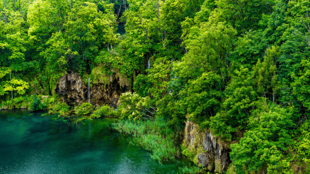 Gusto zelenilo i tirkizna voda uz stijene u Nacionalnom parku Plitvička jezera